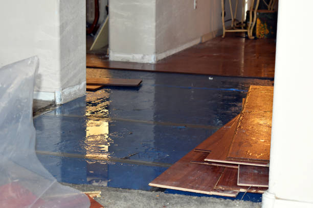 Professional Water Damage Restoration technician working in Brenham, TX